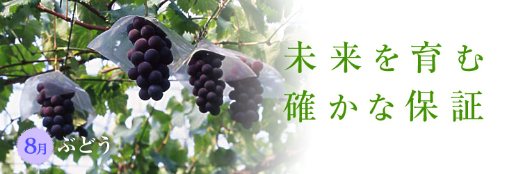 8月のコレ食