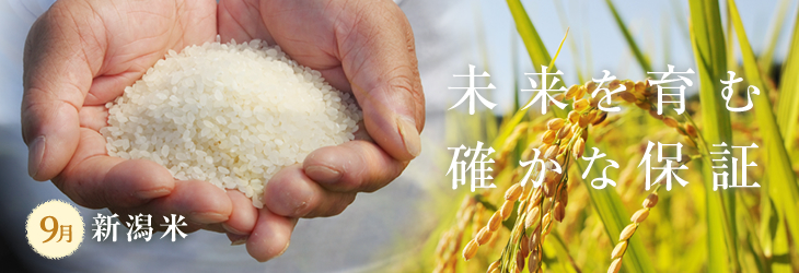 9月のコレ食