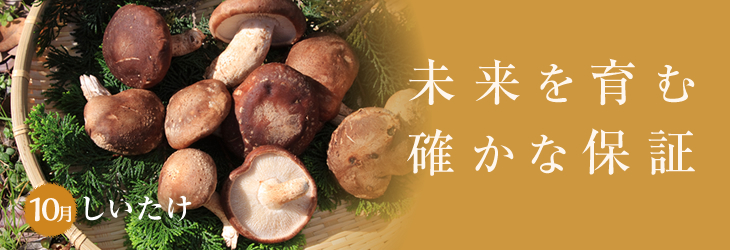 10月のコレ食