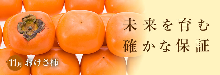11月のコレ食