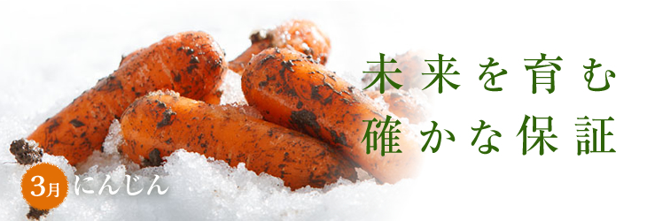 3月のコレ食